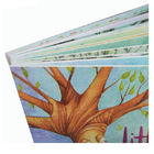 Preschool Paper Printing Services Children's Board Books with Round Corner