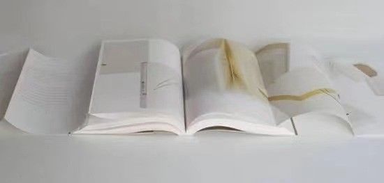 Services d'impression de livres d'images sur mesure 2